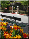 (santana row portfolio)